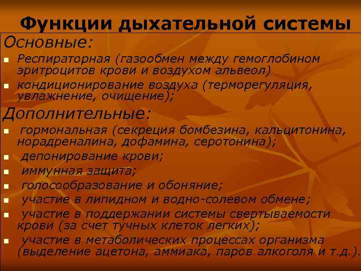Функции дыхательной системы Основные: n n Респираторная (газообмен между гемоглобином эритроцитов крови и воздухом