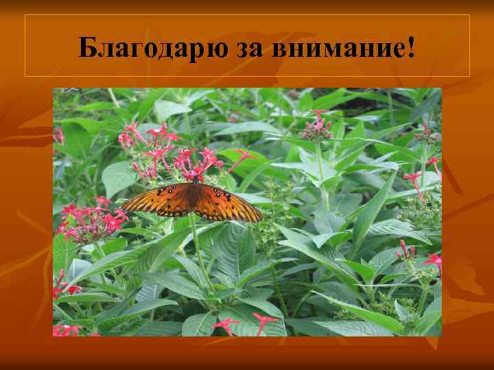 Благодарю за внимание! 