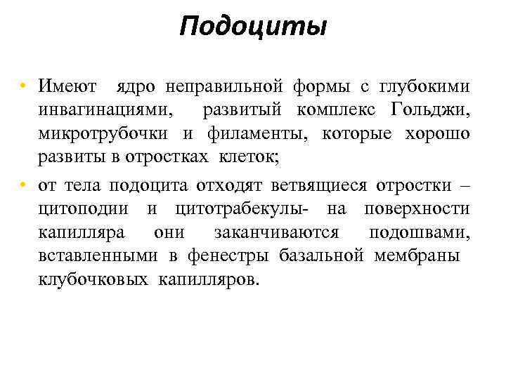 Подоциты • Имеют ядро неправильной формы с глубокими инвагинациями, развитый комплекс Гольджи, микротрубочки и