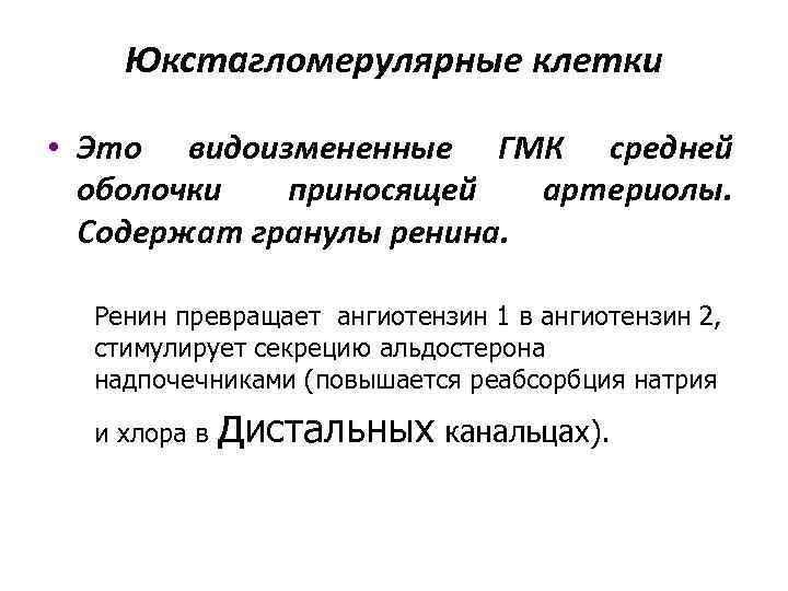 Юкстагломерулярные клетки • Это видоизмененные ГМК средней оболочки приносящей артериолы. Содержат гранулы ренина. Ренин
