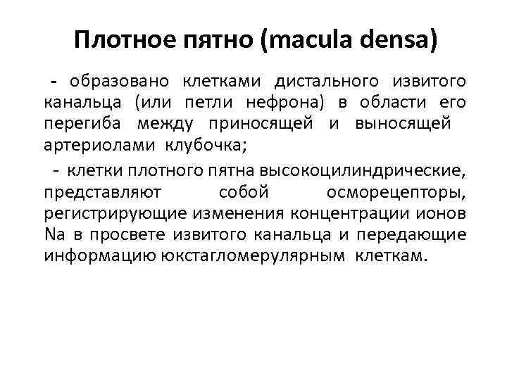 Плотное пятно (macula densa) - образовано клетками дистального извитого канальца (или петли нефрона) в