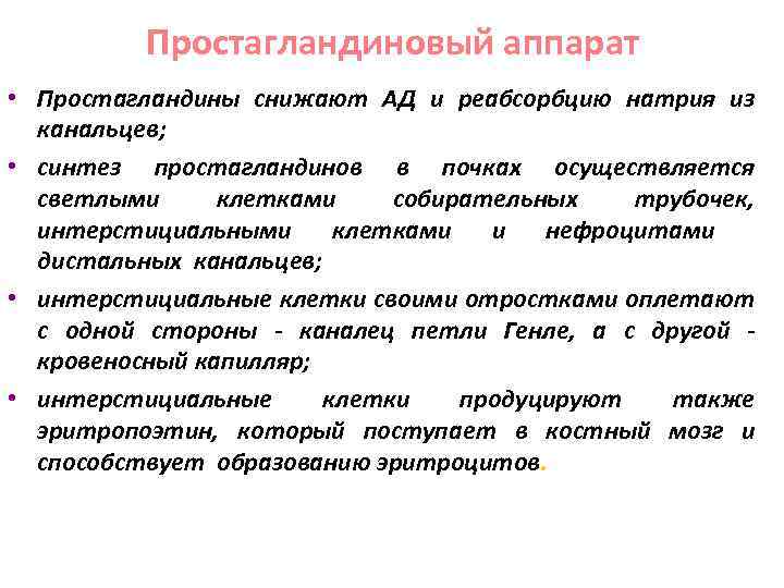 Простагландиновый аппарат • Простагландины снижают АД и реабсорбцию натрия из канальцев; • синтез простагландинов