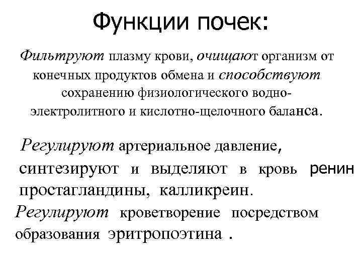 Функции почек: Фильтруют плазму крови, очищают организм от конечных продуктов обмена и способствуют сохранению