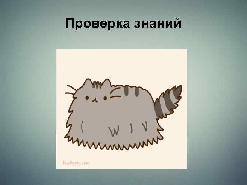 Проверка знаний 