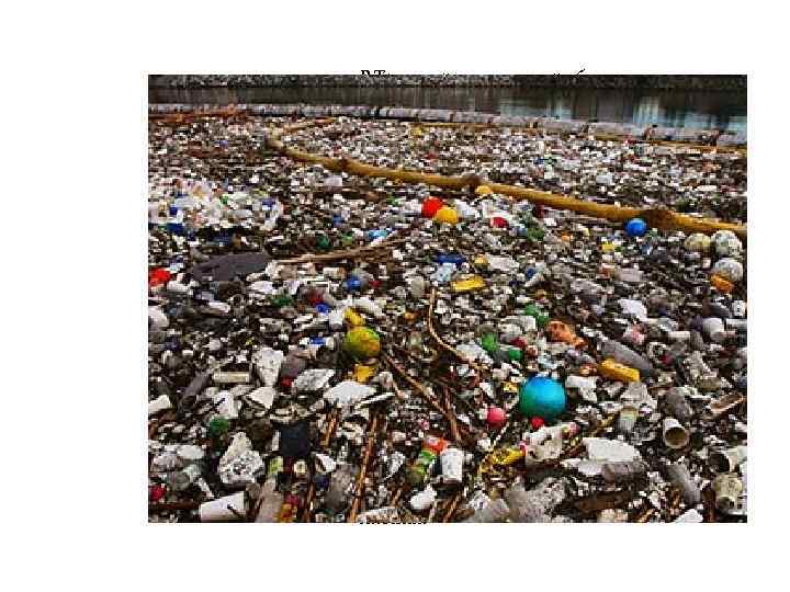 В Тихом океане ужасающе быстро разрастается 