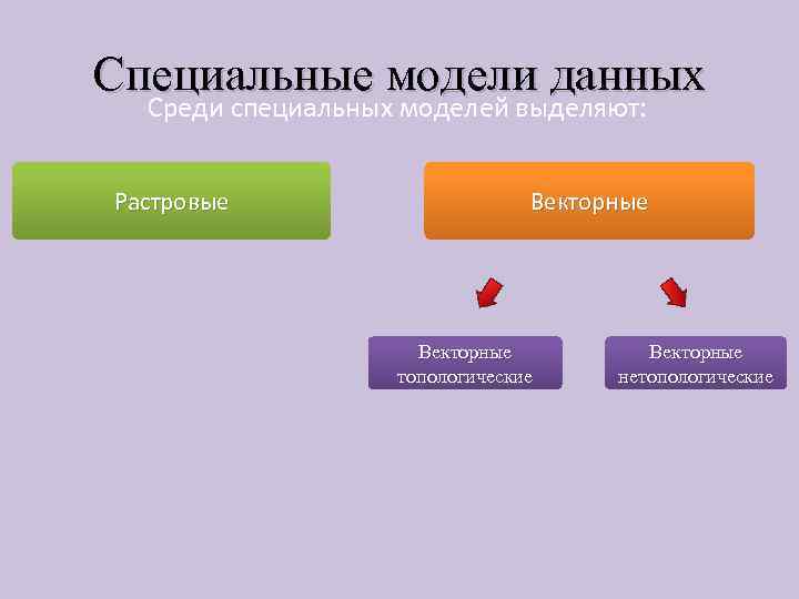 Специальные модели данных Среди специальных моделей выделяют: Растровые Векторные топологические Векторные нетопологические 