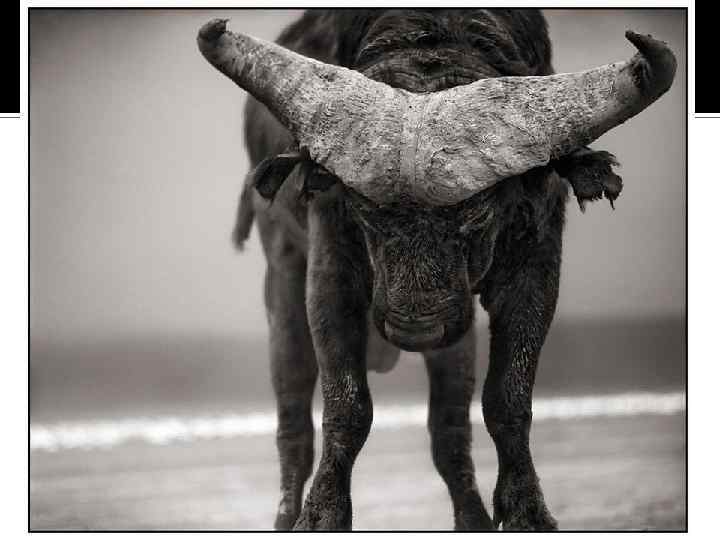 Мадагаскар 