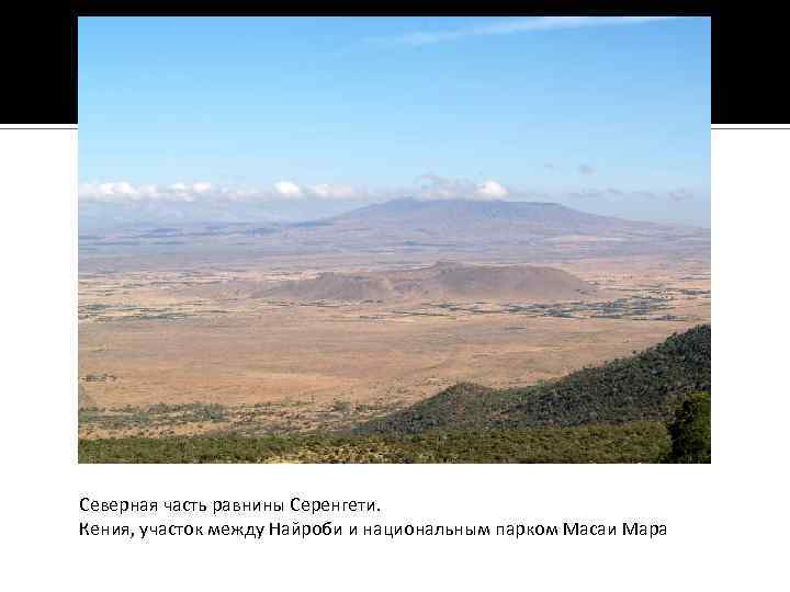 Северная часть равнины Серенгети. Кения, участок между Найроби и национальным парком Масаи Мара 
