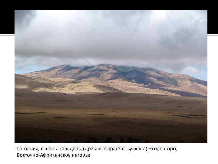 Танзания, склоны кальдеры (древнего кратера вулкана) Нгоронгоро, Восточно-Африканское нагорье 