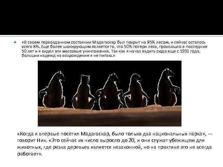  «В своем первозданном состоянии Мадагаскар был покрыт на 85% лесом, и сейчас осталось