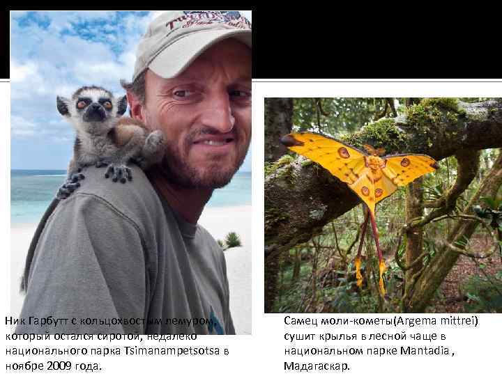 Ник Гарбутт с кольцохвостым лемуром, который остался сиротой, недалеко национального парка Tsimanampetsotsa в ноябре