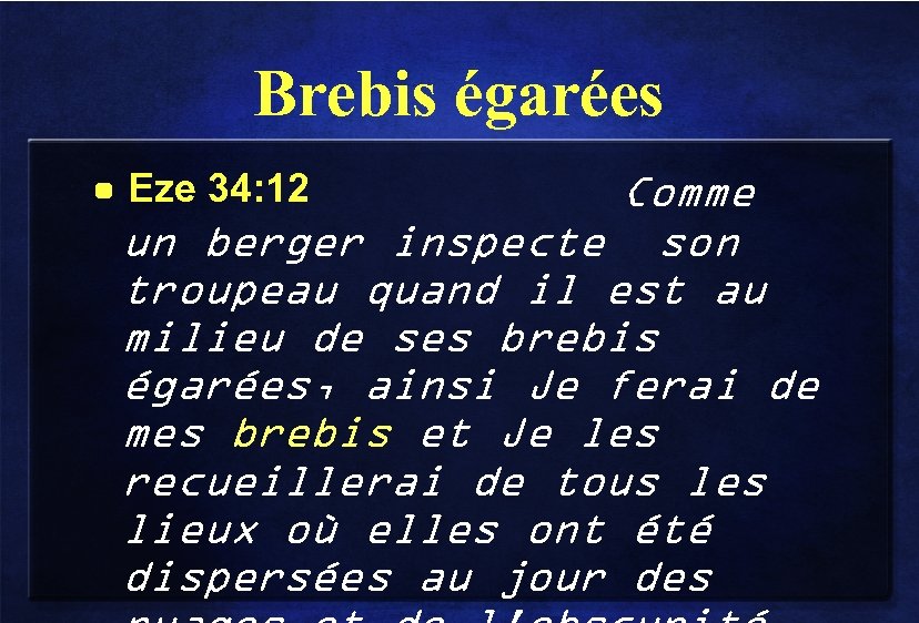 Brebis égarées • Eze 34: 12 Comme un berger inspecte son troupeau quand il