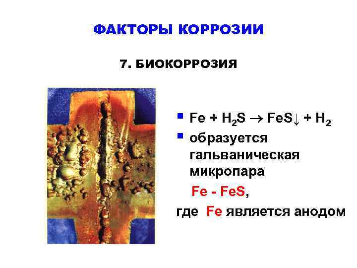 ФАКТОРЫ КОРРОЗИИ 7. БИОКОРРОЗИЯ § Fe + H 2 S Fe. S↓ + H
