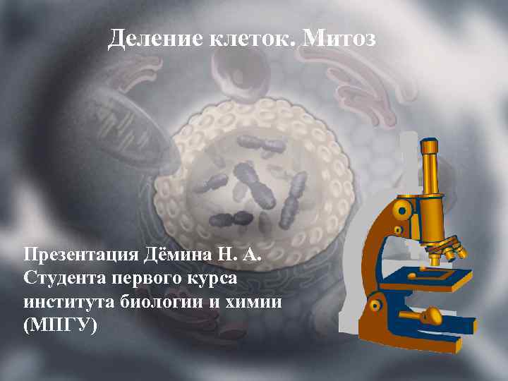 Деление клеток. Митоз Презентация Дёмина Н. А. Студента первого курса института биологии и химии