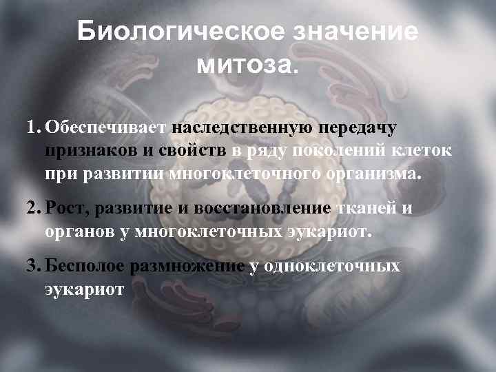 Биологическое значение митоза. 1. Обеспечивает наследственную передачу признаков и свойств в ряду поколений клеток