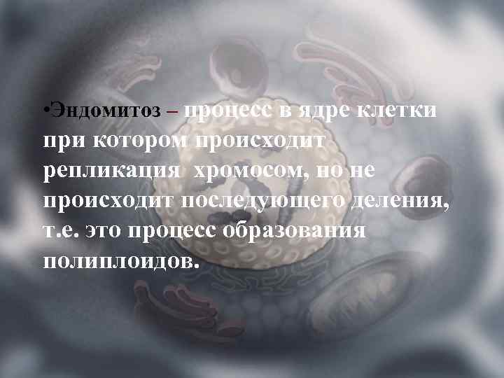  • Эндомитоз – процесс в ядре клетки при котором происходит репликация хромосом, но