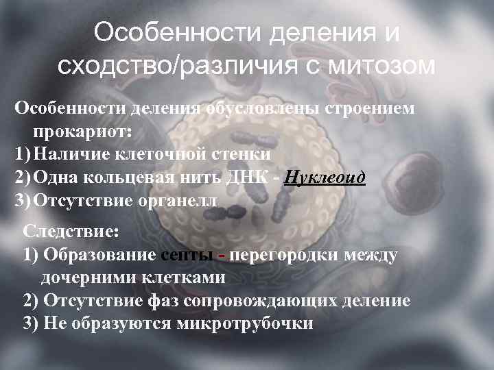 Особенности деления и сходство/различия с митозом Особенности деления обусловлены строением прокариот: 1) Наличие клеточной