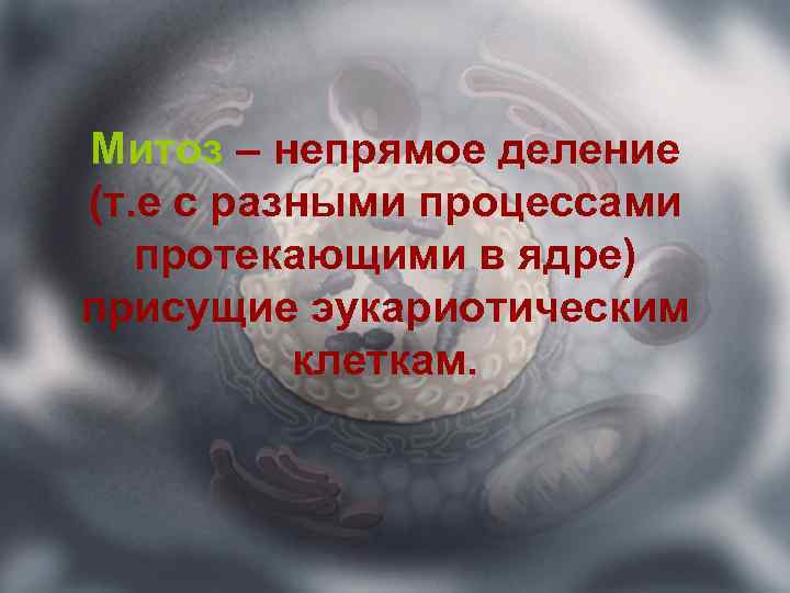 Митоз – непрямое деление (т. е с разными процессами протекающими в ядре) присущие эукариотическим