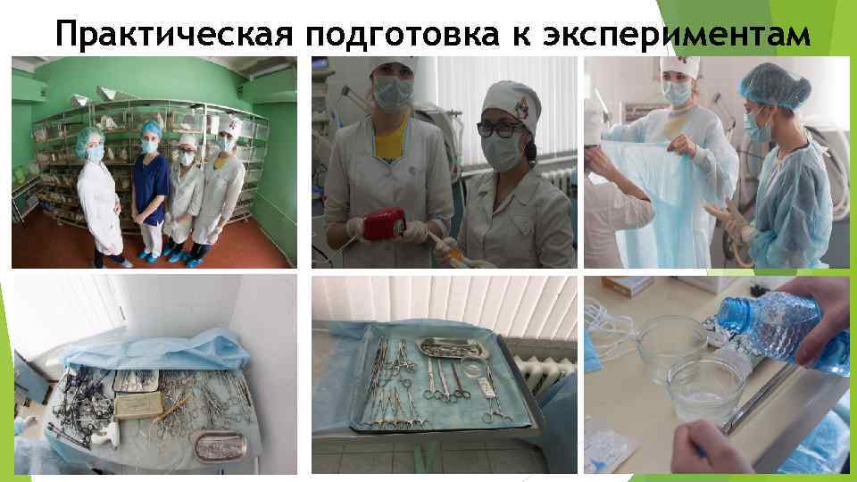 Практическая подготовка к экспериментам 