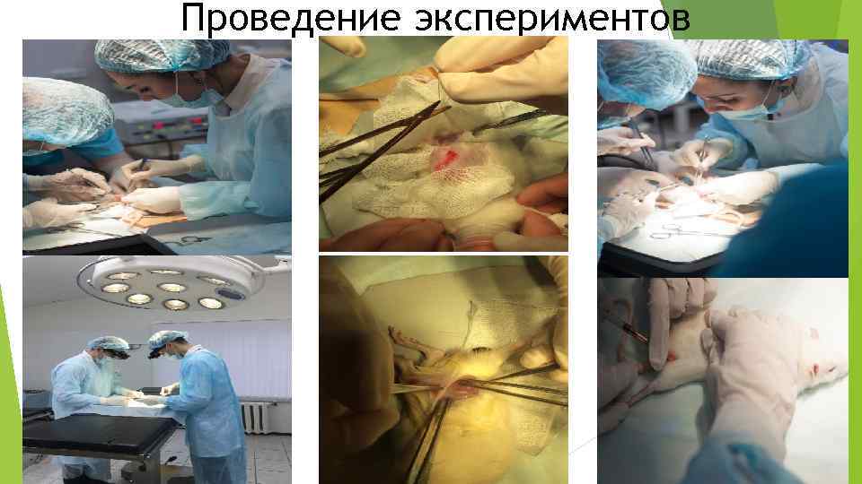 Проведение экспериментов 