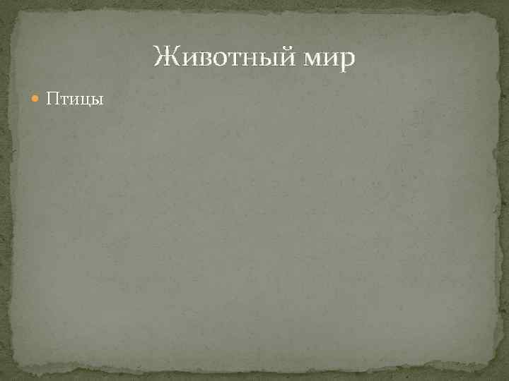 Животный мир Птицы 