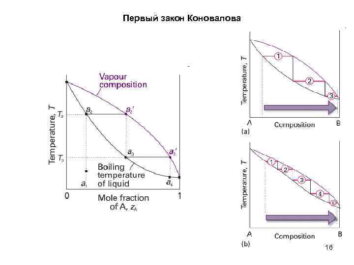 Первый закон коновалова на диаграмме