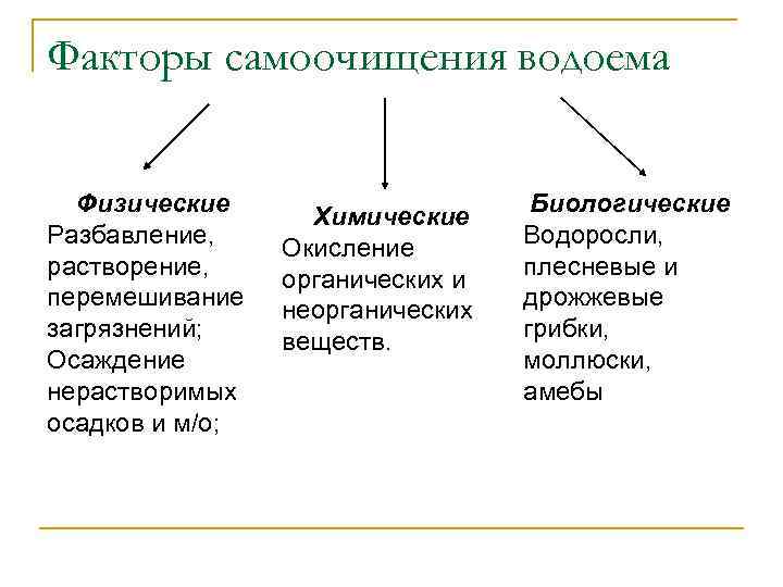Факторы самоочищения водоема Физические Разбавление, растворение, перемешивание загрязнений; Осаждение нерастворимых осадков и м/о; Химические