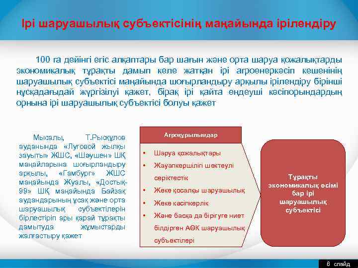 Ірі шаруашылық субъектісінің маңайында ірілендіру 100 га дейінгі егіс алқаптары бар шағын және орта