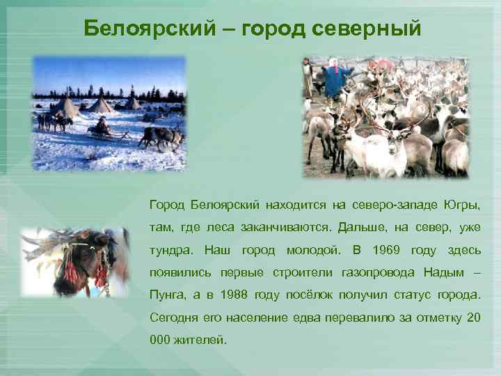 Белоярский – город северный Город Белоярский находится на северо-западе Югры, там, где леса заканчиваются.