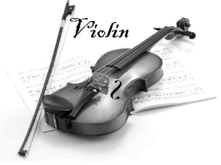 Violin 