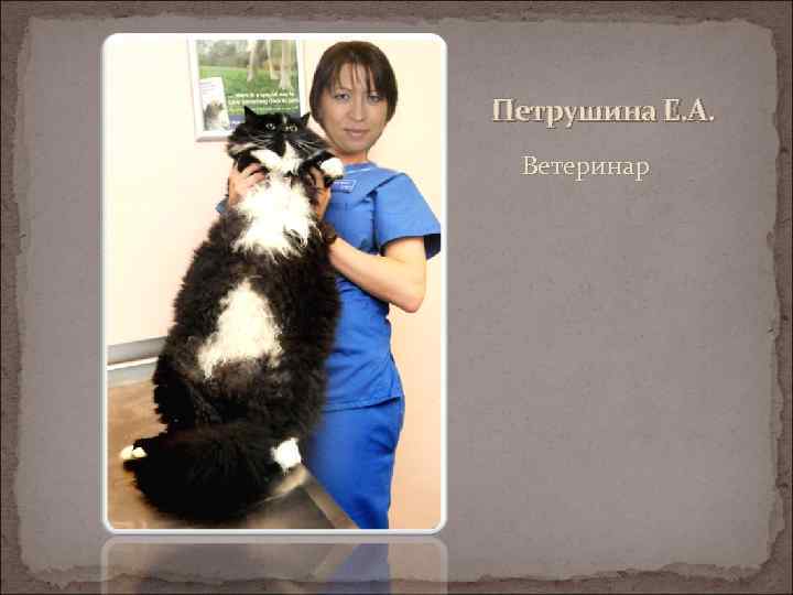 Петрушина Е. А. Ветеринар 