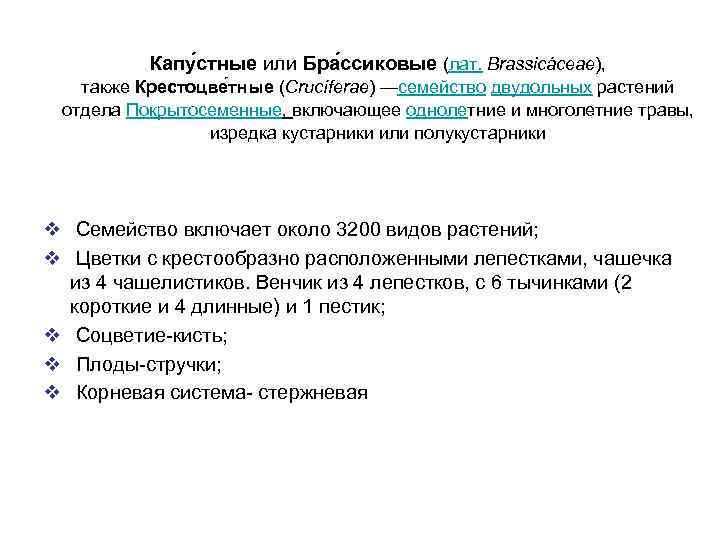 Капу стные или Бра ссиковые (лат. Brassicáceae), также Крестоцве тные (Crucíferae) —семейство двудольных растений
