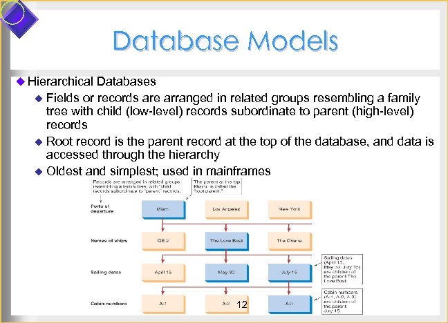 Database Models u Hierarchical Databases u Fields or records are arranged in related groups