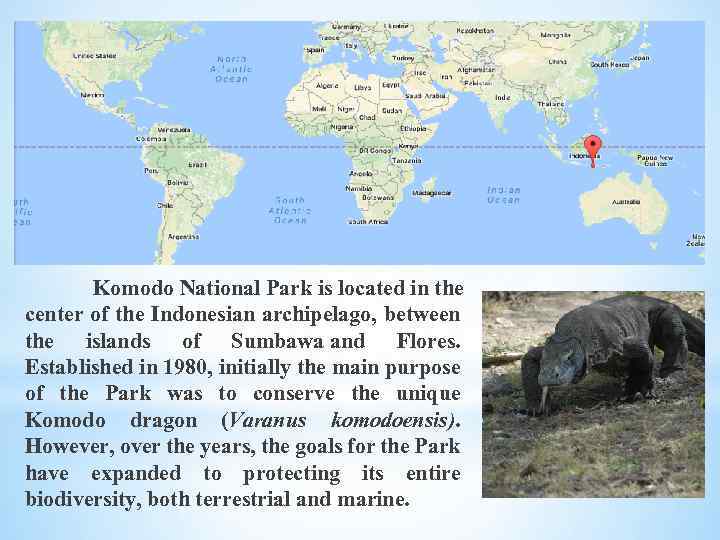 Komodo National Park is located in the center of the Indonesian archipelago, between the