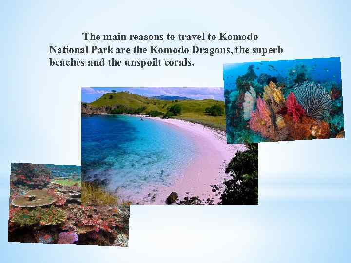 The main reasons to travel to Komodo National Park are the Komodo Dragons, the