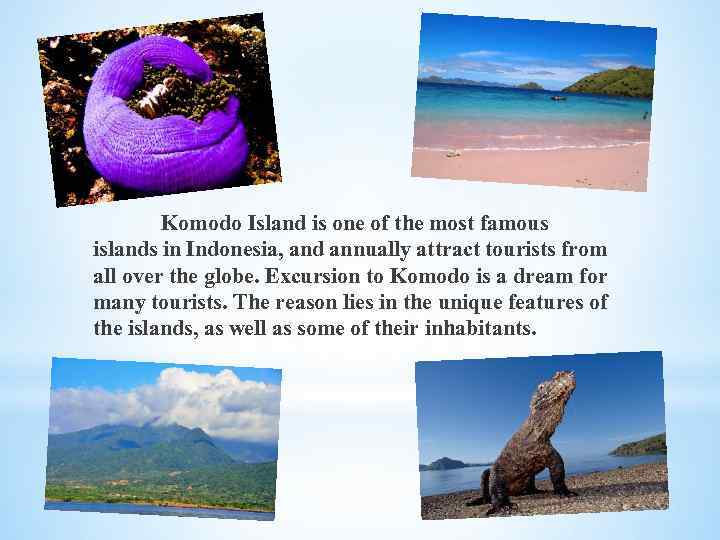 Komodo Island is one of the most famous islands in Indonesia, and annually attract