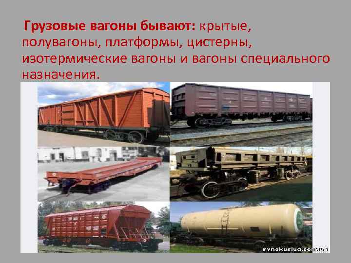 Грузовые вагоны бывают: крытые, полувагоны, платформы, цистерны, изотермические вагоны и вагоны специального назначения. 