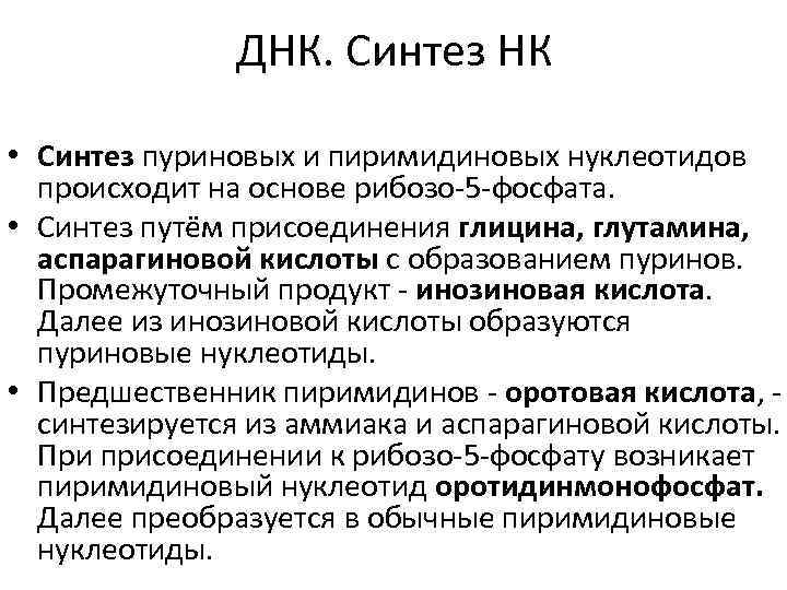 ДНК. Синтез НК • Синтез пуриновых и пиримидиновых нуклеотидов происходит на основе рибозо-5 -фосфата.
