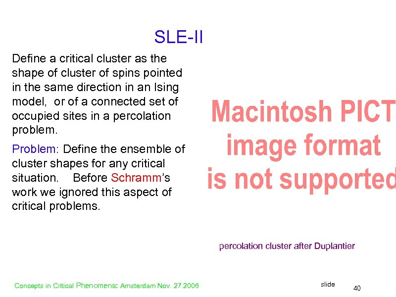 SLE-II Define a critical cluster as the shape of cluster of spins pointed in