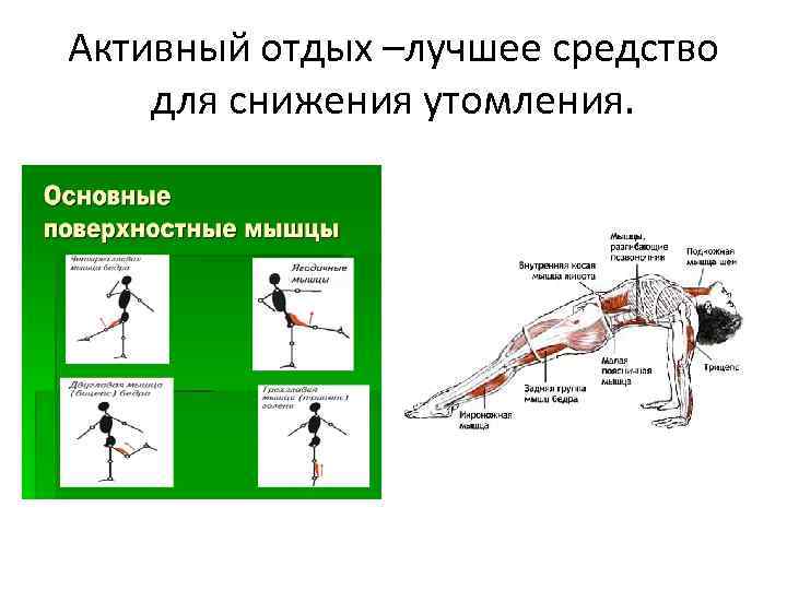 Активный отдых –лучшее средство для снижения утомления. 