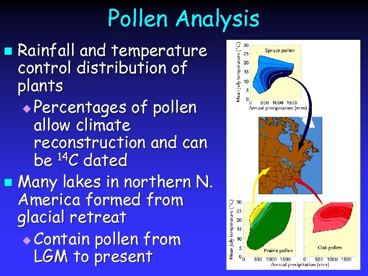Pollen Analysis Rainfall and temperature control distribution of plants u Percentages of pollen allow