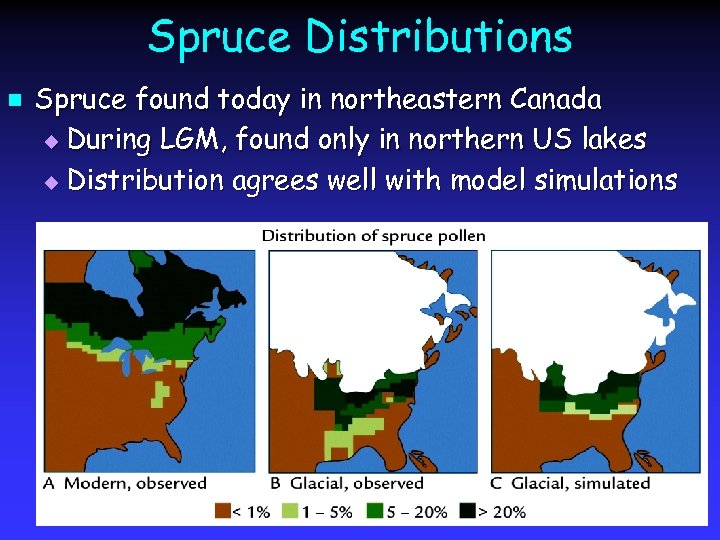 Spruce Distributions n Spruce found today in northeastern Canada u During LGM, found only