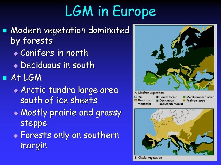 LGM in Europe n n Modern vegetation dominated by forests u Conifers in north