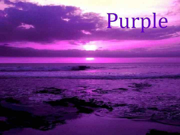 Purple 