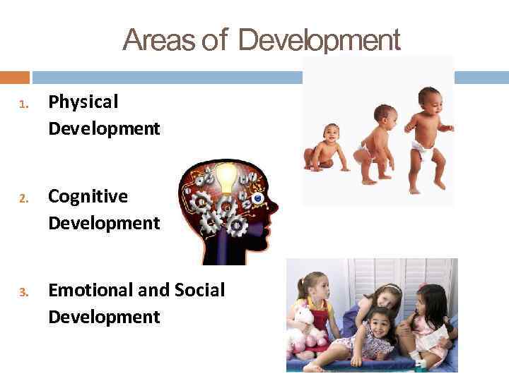 Areas of Development 1. 2. 3. Physical Development Cognitive Development Emotional and Social Development