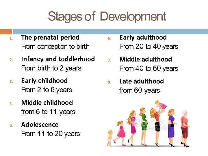 Stages of Development 1. 2. 3. 4. 5. The prenatal period From conception to