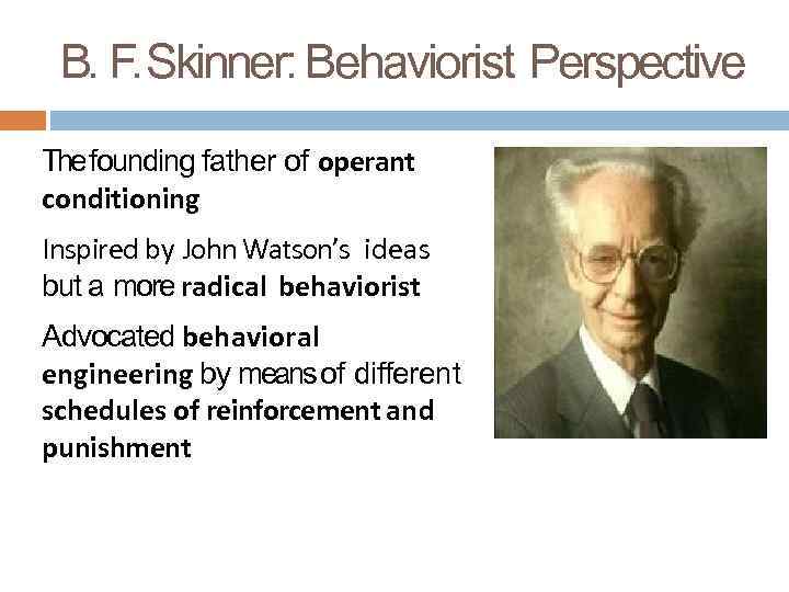 B. F. Skinner: Behaviorist Perspective The founding father of operant conditioning Inspired by John