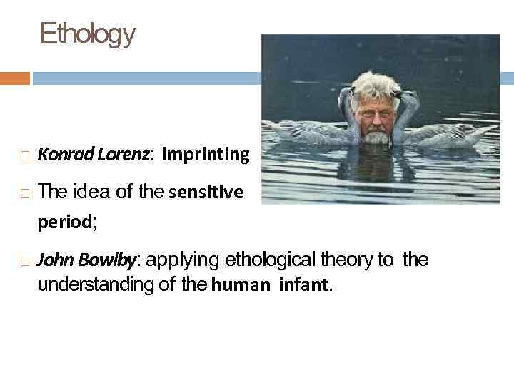 Ethology Konrad Lorenz: imprinting The idea of the sensitive period; John Bowlby: applying ethological