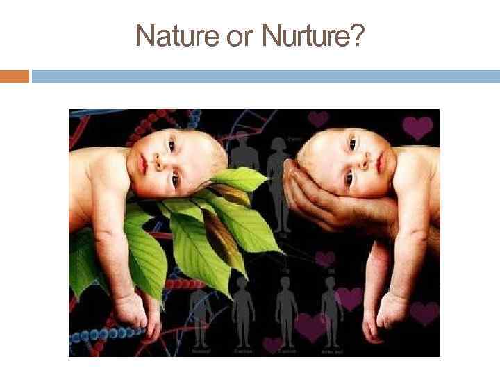Nature or Nurture? 