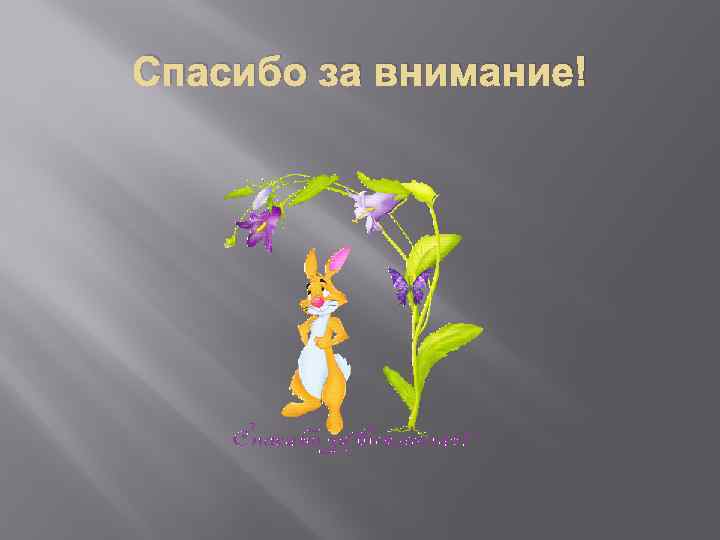 Спасибо за внимание! 